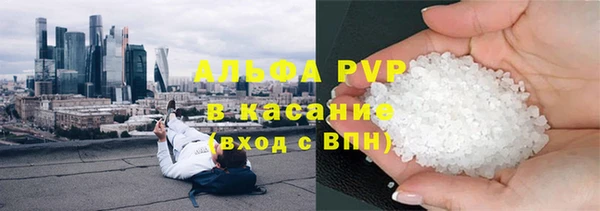 тгк Дмитров
