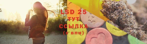 тгк Дмитров