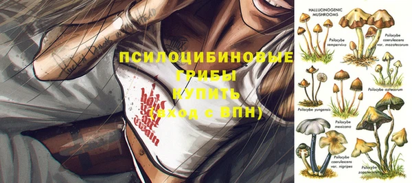 Альфа ПВП Гусиноозёрск