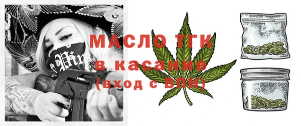 тгк Дмитров