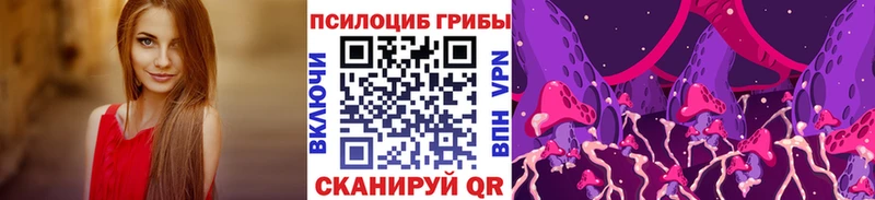Псилоцибиновые грибы Magic Shrooms  Купить где  Краснослободск 